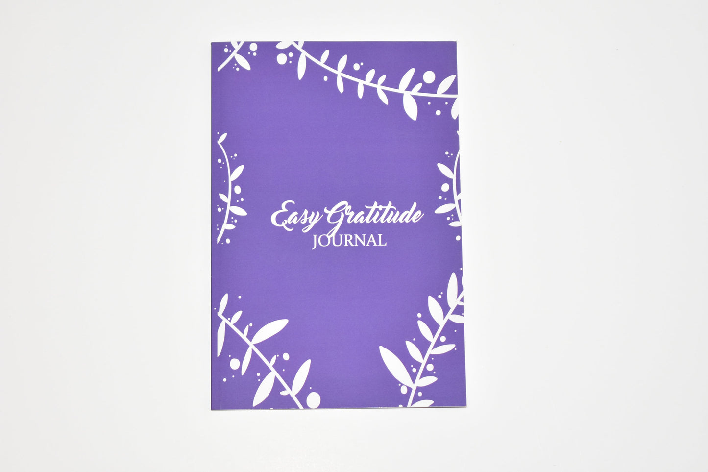 daily gratitude journal, you can start being reflective