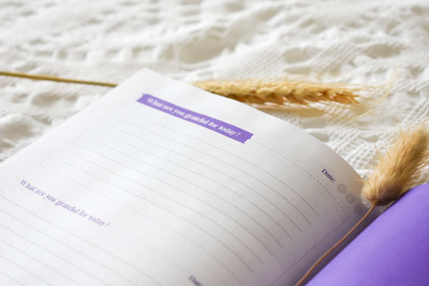 purple delicate journal