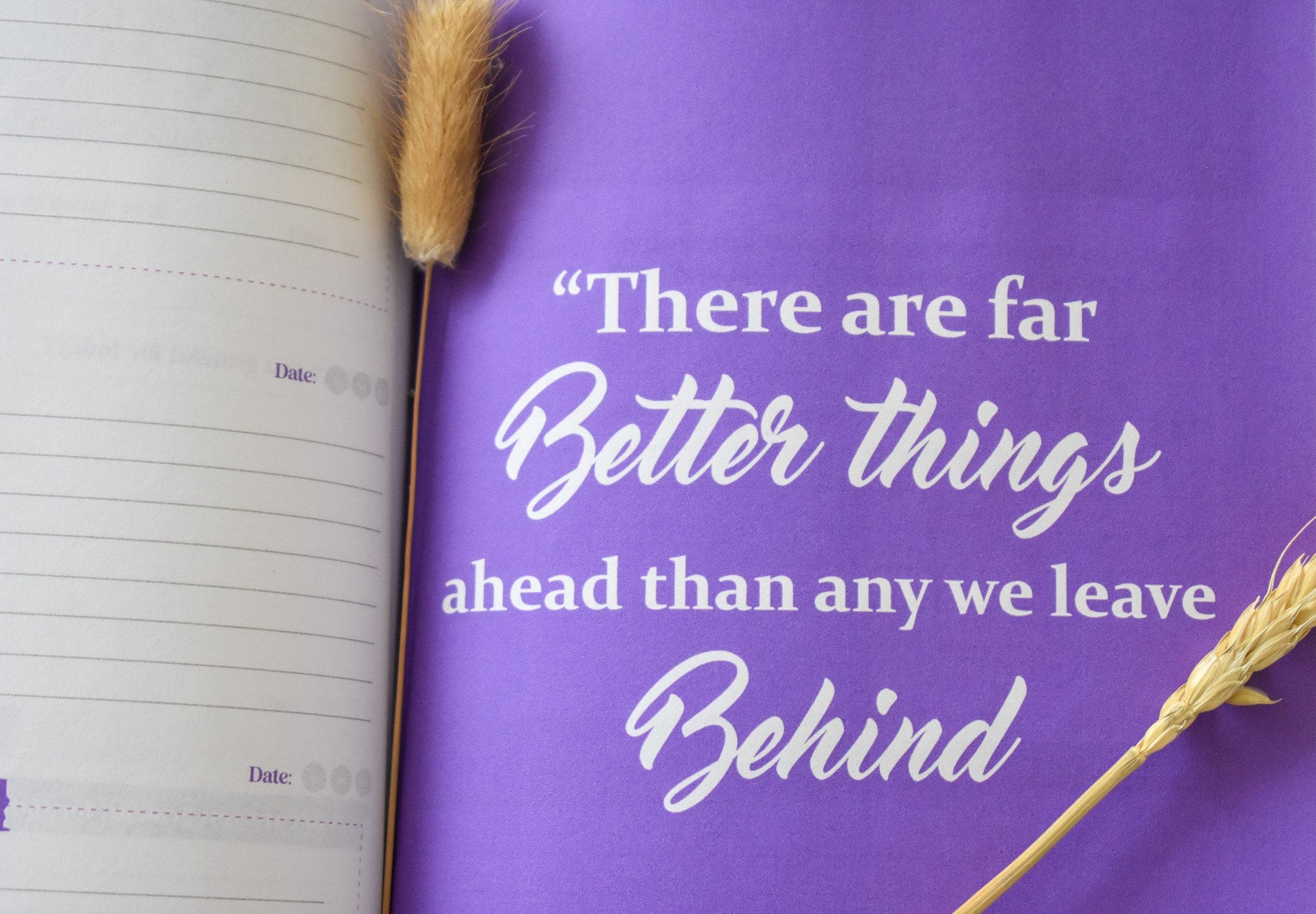 Passion Purple Daily Journal