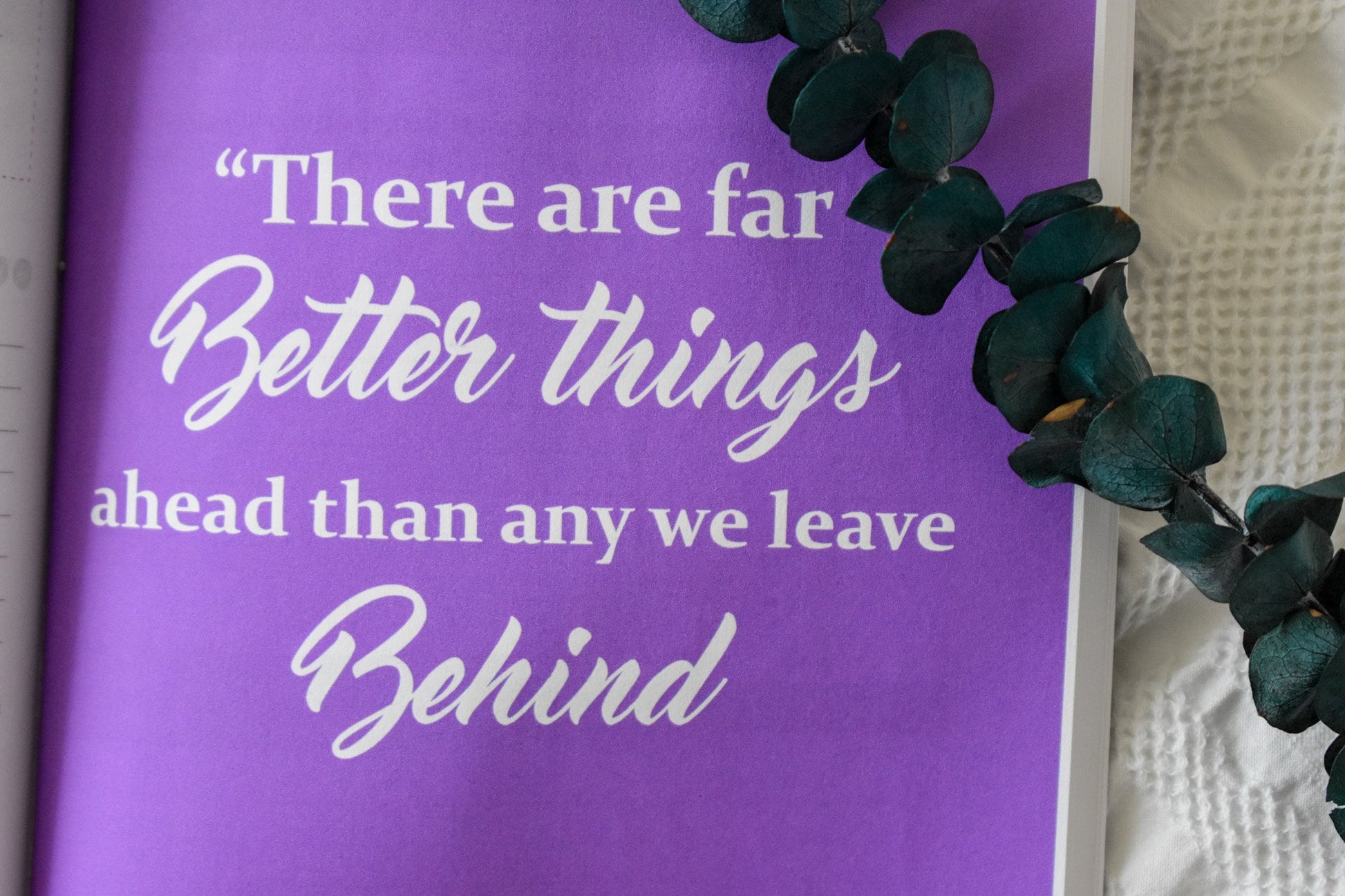 best purple passion journal