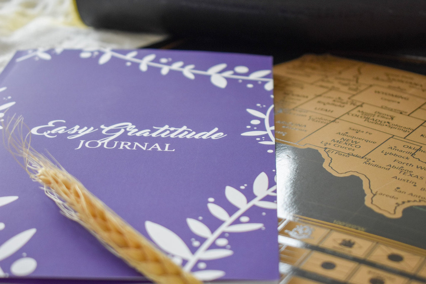 purple map and journal